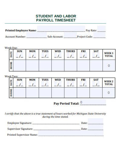 student and labor payroll timesheet example
