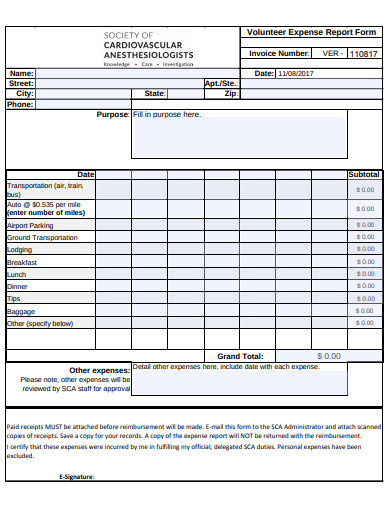 volunteer expense report form