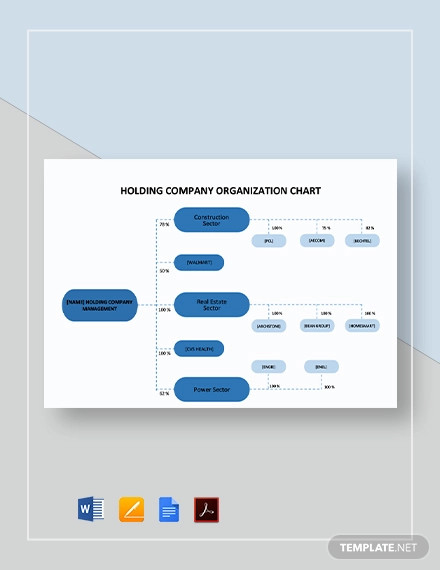 Holding Company Organizational Chart Template1