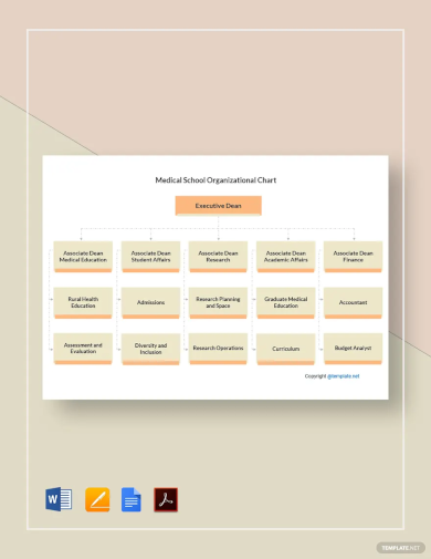 medical school organizational chart template