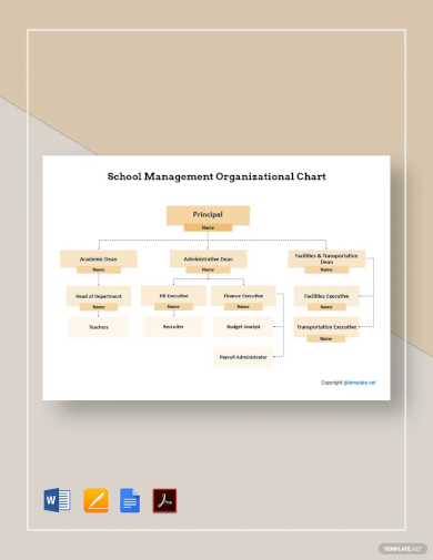school management organizational chart template