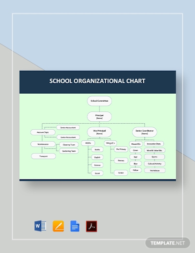Free 11 School Organizational Chart Examples Templates