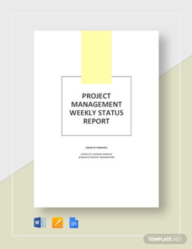 weekly project management status report template