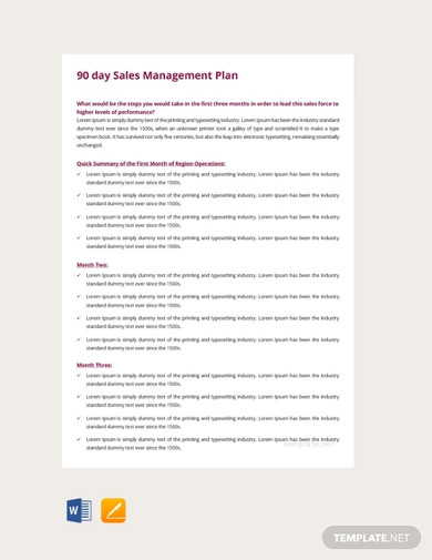 Free 90 Days Sales Management Plan Template