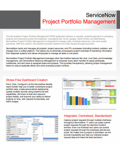 Project Portfolio Management Example