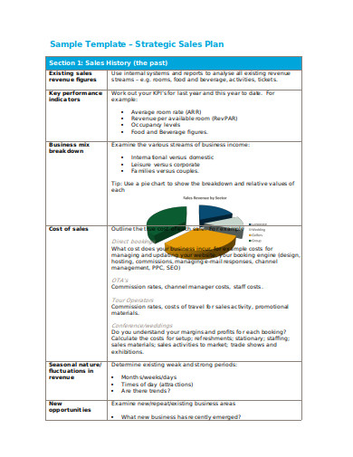 strategic sales plan sample template