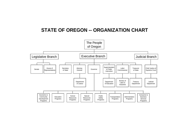 basic state organizational chart sample
