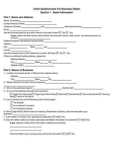 client questionnaire for business debtor