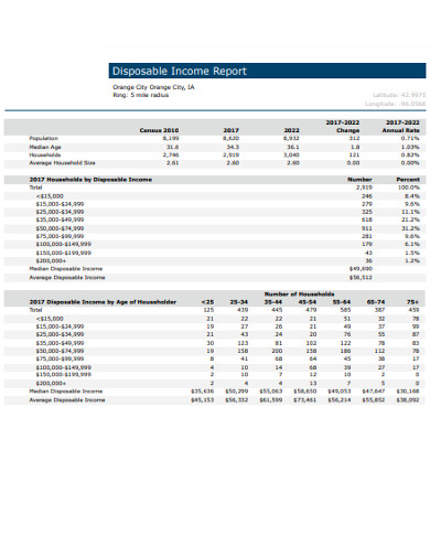 disposable income report example