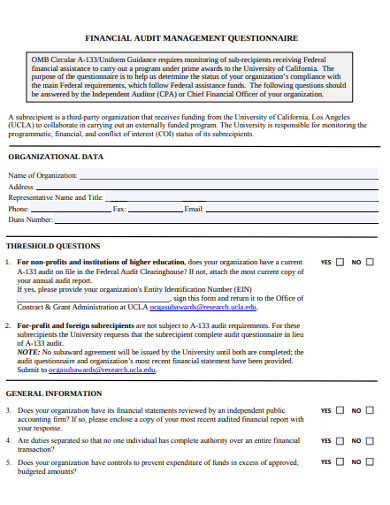 Financial Management Audit Questionnaire Example