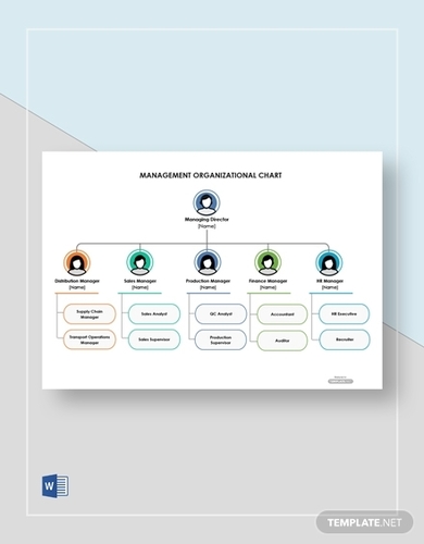 Free Management Organizational Chart Template