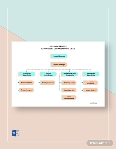 free strategic project management organizational chart template