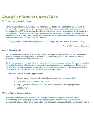 geographic market information systems segmentation