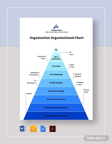 Organization Organizational Chart Template