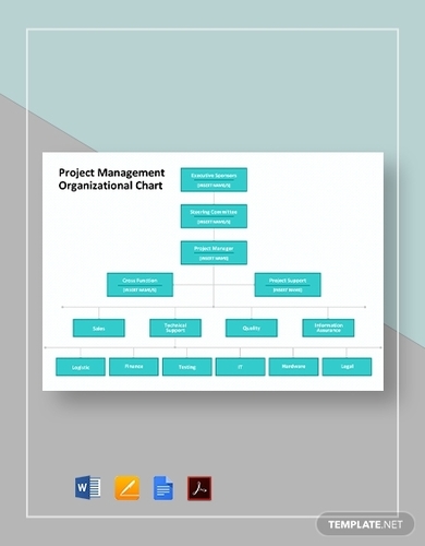 Project Management Organizational Chart Template