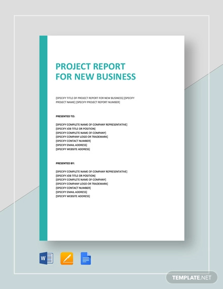 Project Report For New Business Template