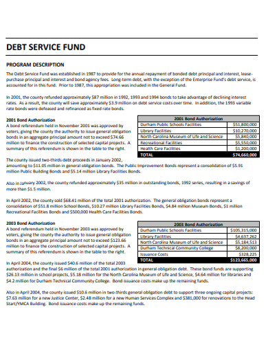 sample debt service fund example