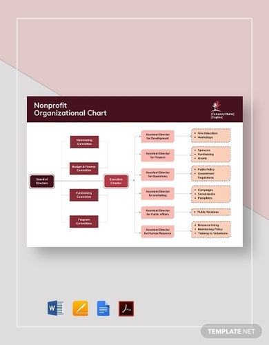 Non Profit Organizational Chart Examples