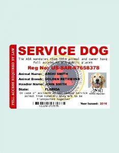 10+ Animal ID Card Examples - Illustrator, MS Word, Pages, Photoshop ...