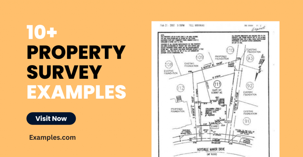 Property Survey Examples