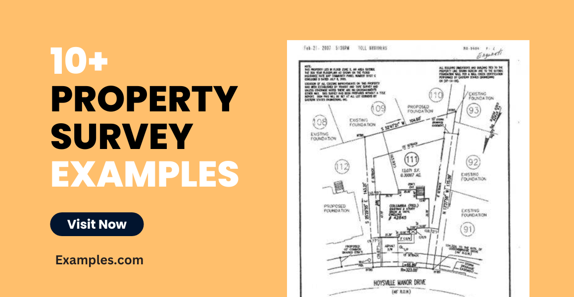 Surveys: What They Are, Characteristics & Examples