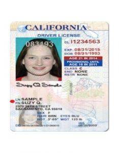 vertical drivers license