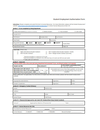 basic student employment authorization form