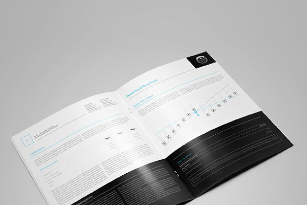 Corporate Financial Planning Brochure