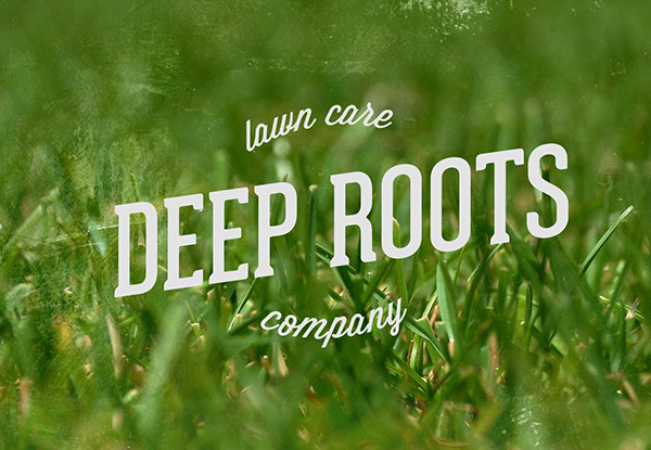 deep roots lawn care flyer