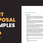 Audit Proposal Examples