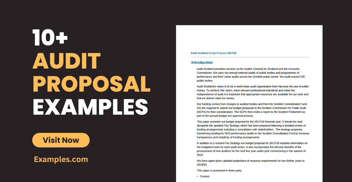 Audit Proposal Examples