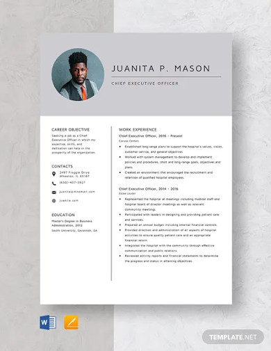 Chief Executive Officer Resume Template