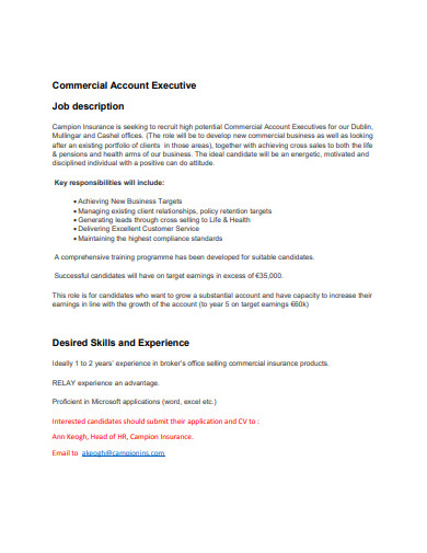 commercial account executive job description