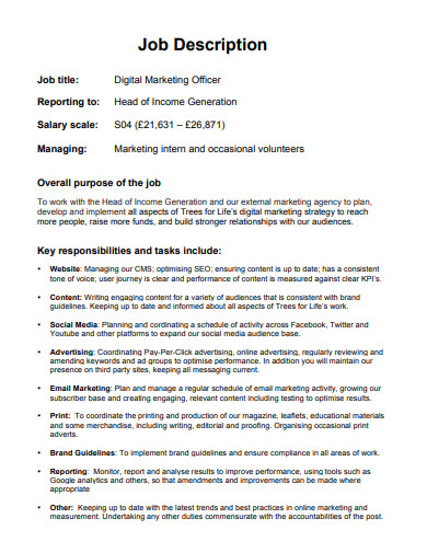 Digital Marketing Officer Job Description