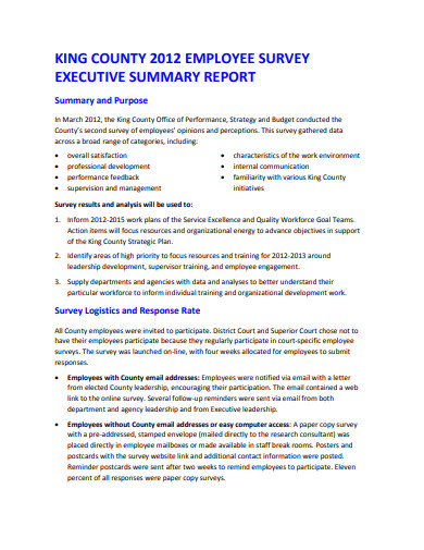 employee survey executive summary report