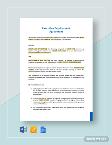 executive employment agreement template