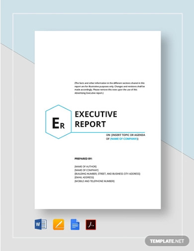 executive report template