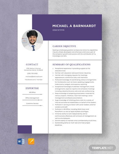 20 Executive Resume Examples In Pdf Ms Word Pages Examples