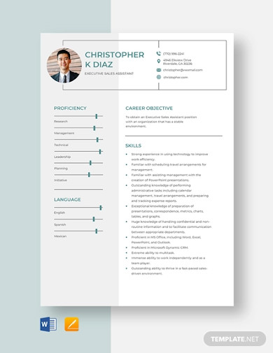 executive sales assistant resume template