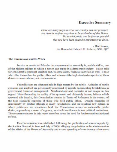 executive summary in pdf