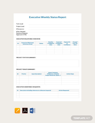 free executive weekly status report template