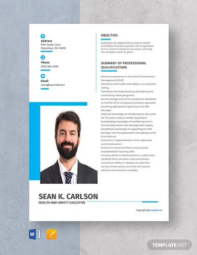 Health And Safety Executive Resume Template