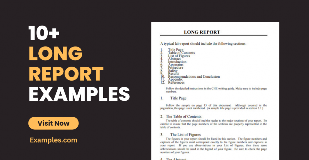 Long Report Examples