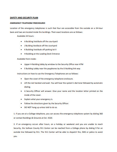 SafetySecurity Plan 12 Examples Format Pdf Examples