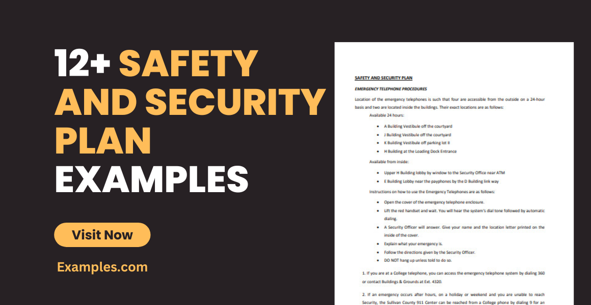 safety and security plan examples