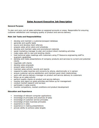 sales account executive job description