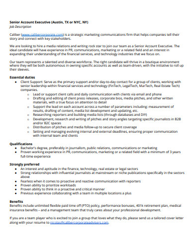 senior account executive job description format