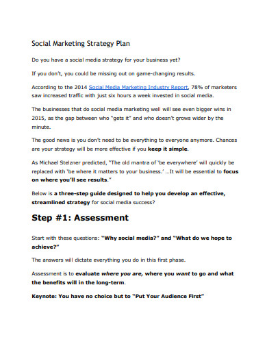 Web Strategy Planning Template v6.0, PDF, Social Network