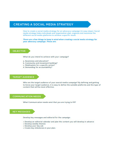 Web Strategy Planning Template v6.0, PDF, Social Network