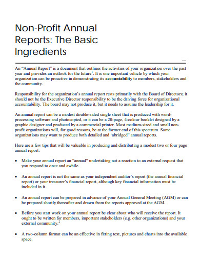 basic non profit annual reports